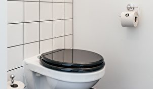 TOILET - THE HUNFELD